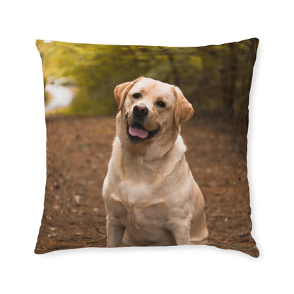 Labrador Retriever Dog