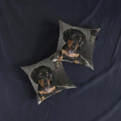 Dachshund Dog