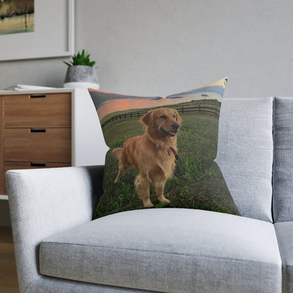 Golden Retriever Dog