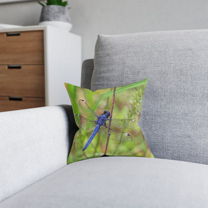 Dragonfly 2