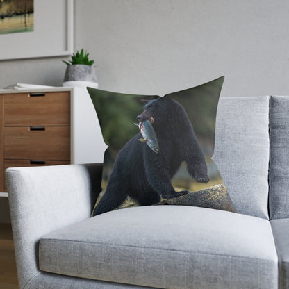 Black Bear