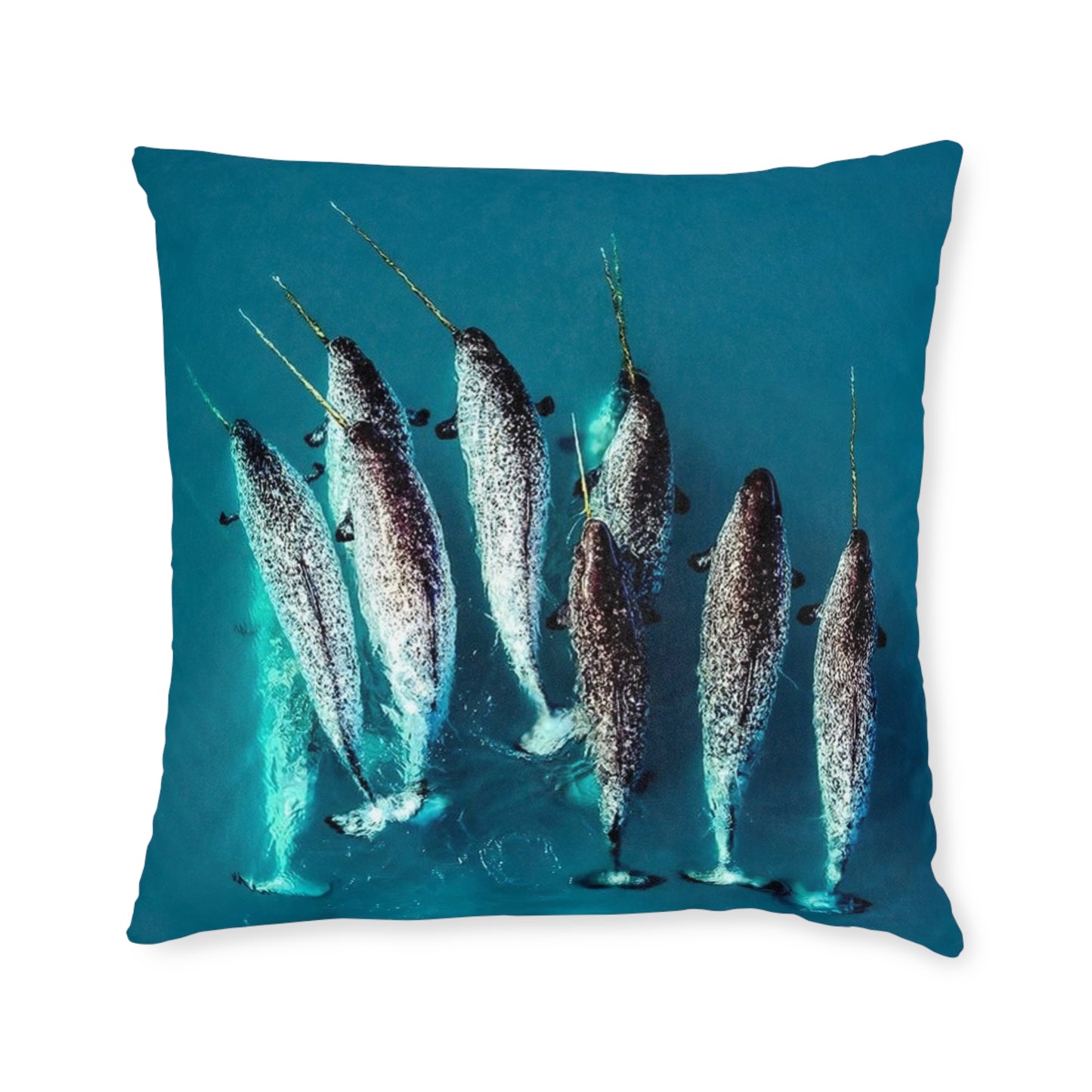 Narwhals