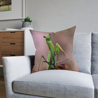 Praying Mantis