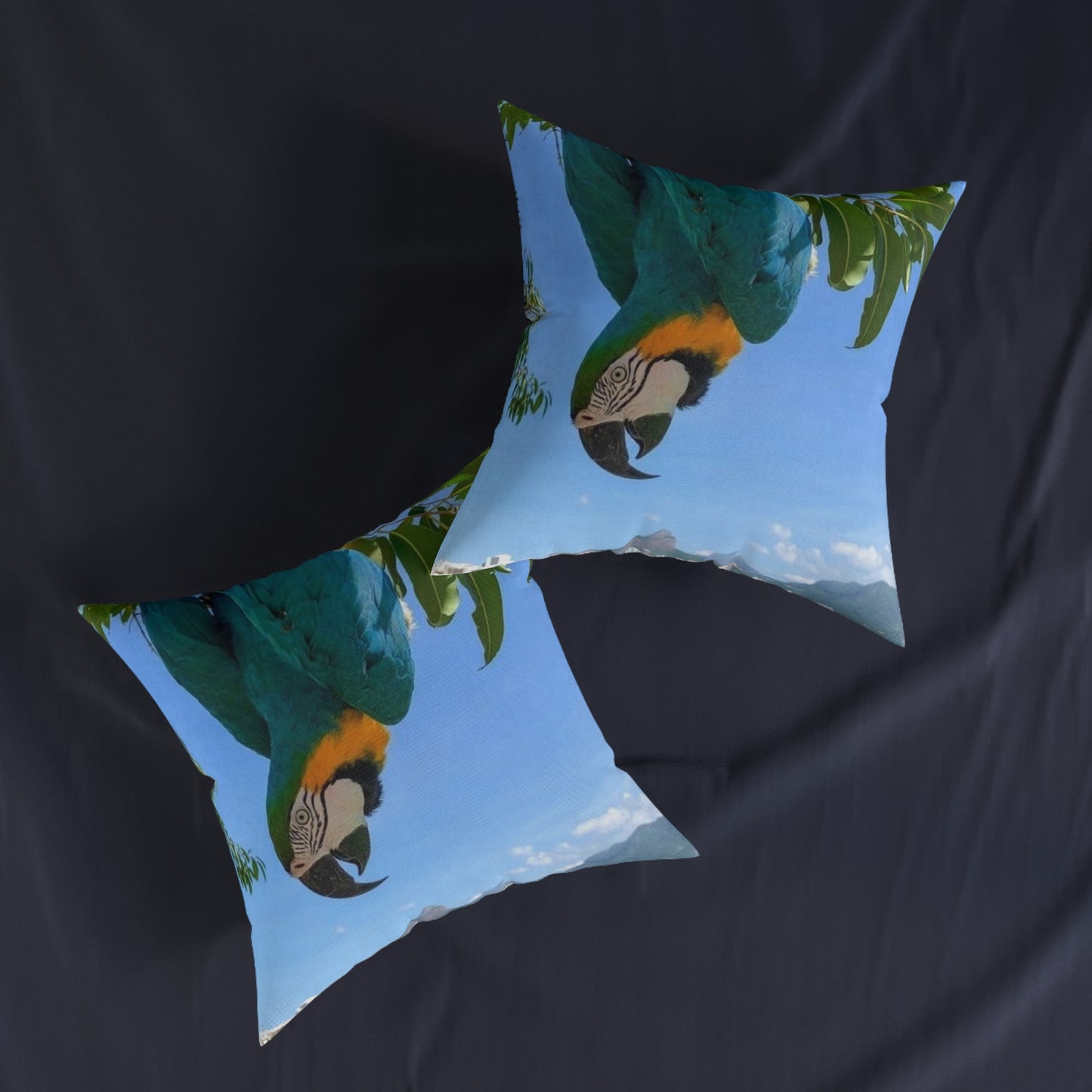 Parrot Blue
