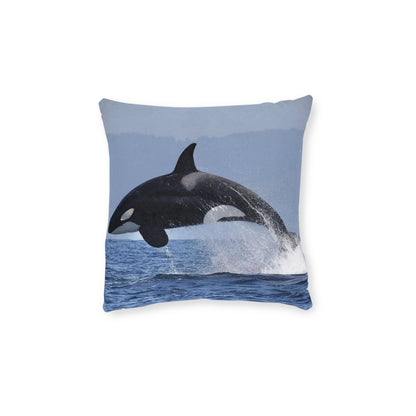 Orca 2