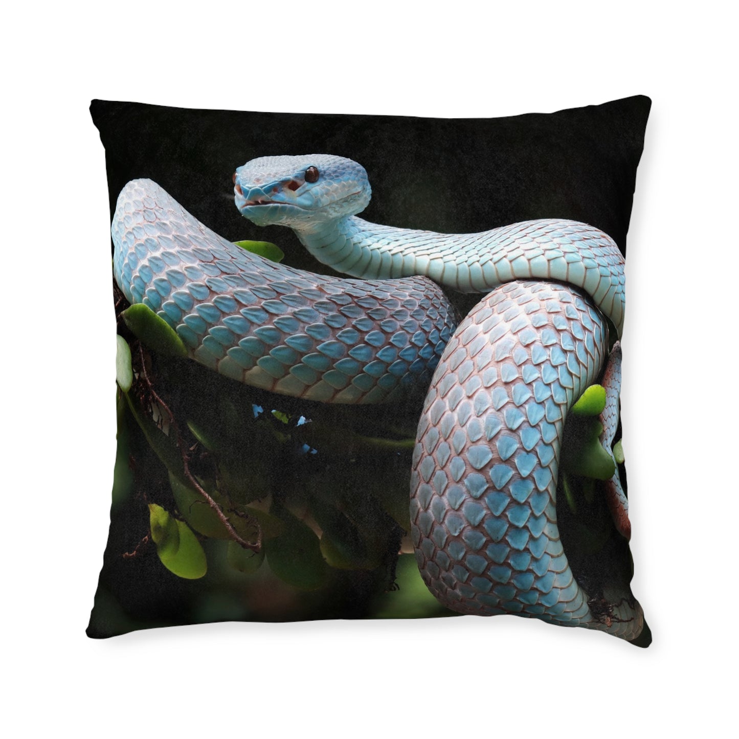 Ball Python Snake