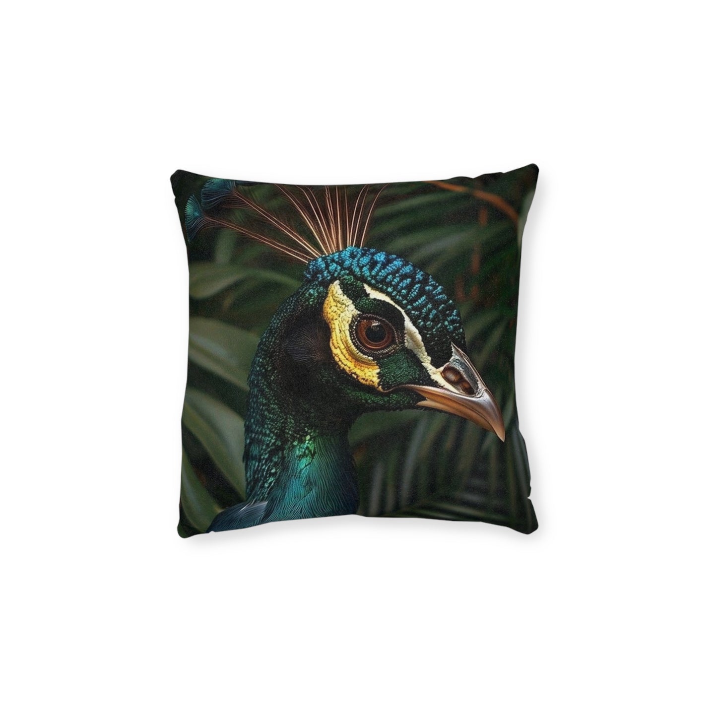 Peacock 2