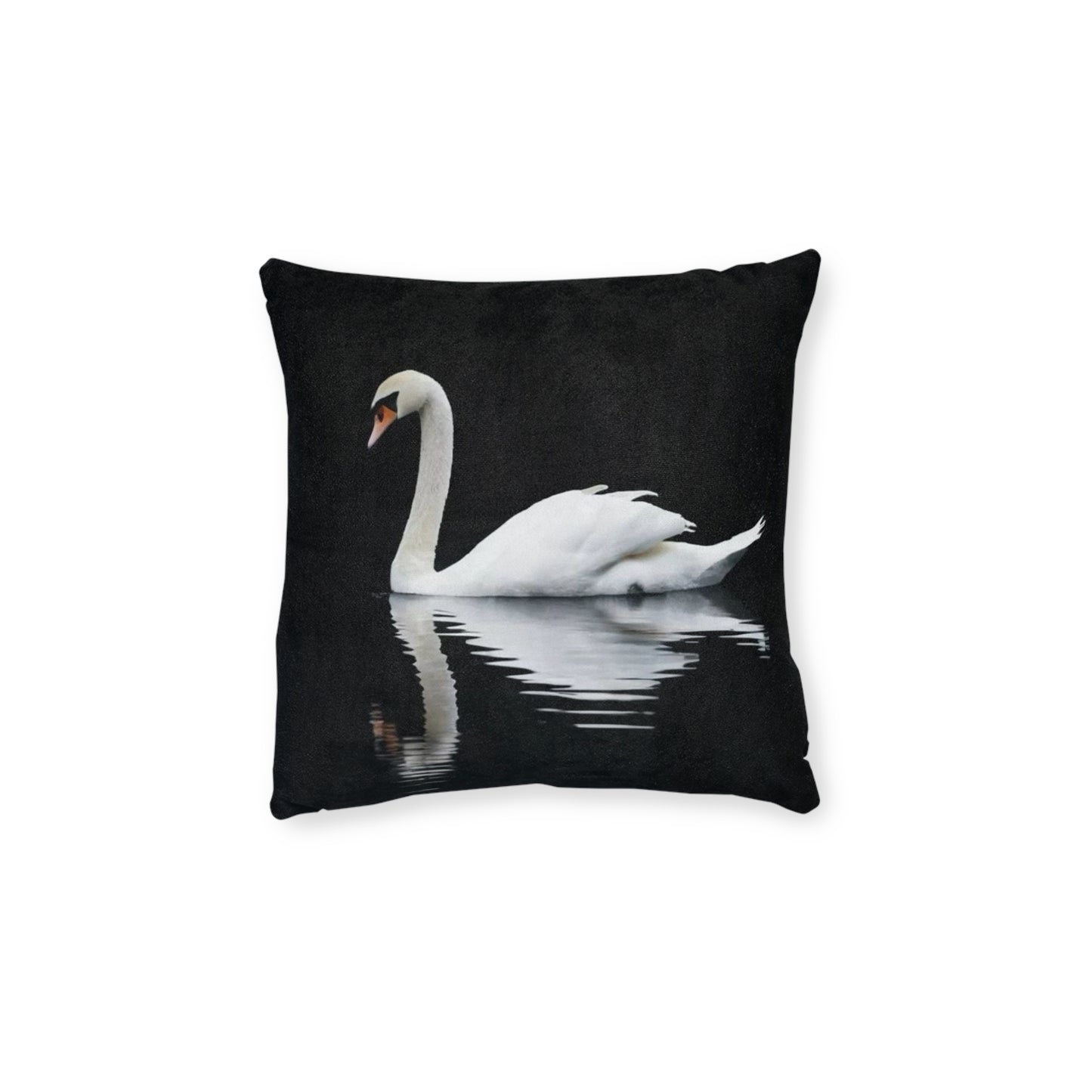 Swan
