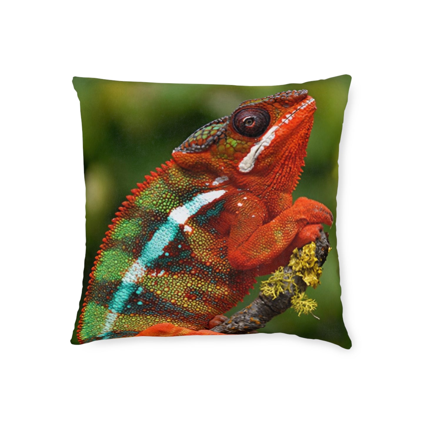 Chameleon