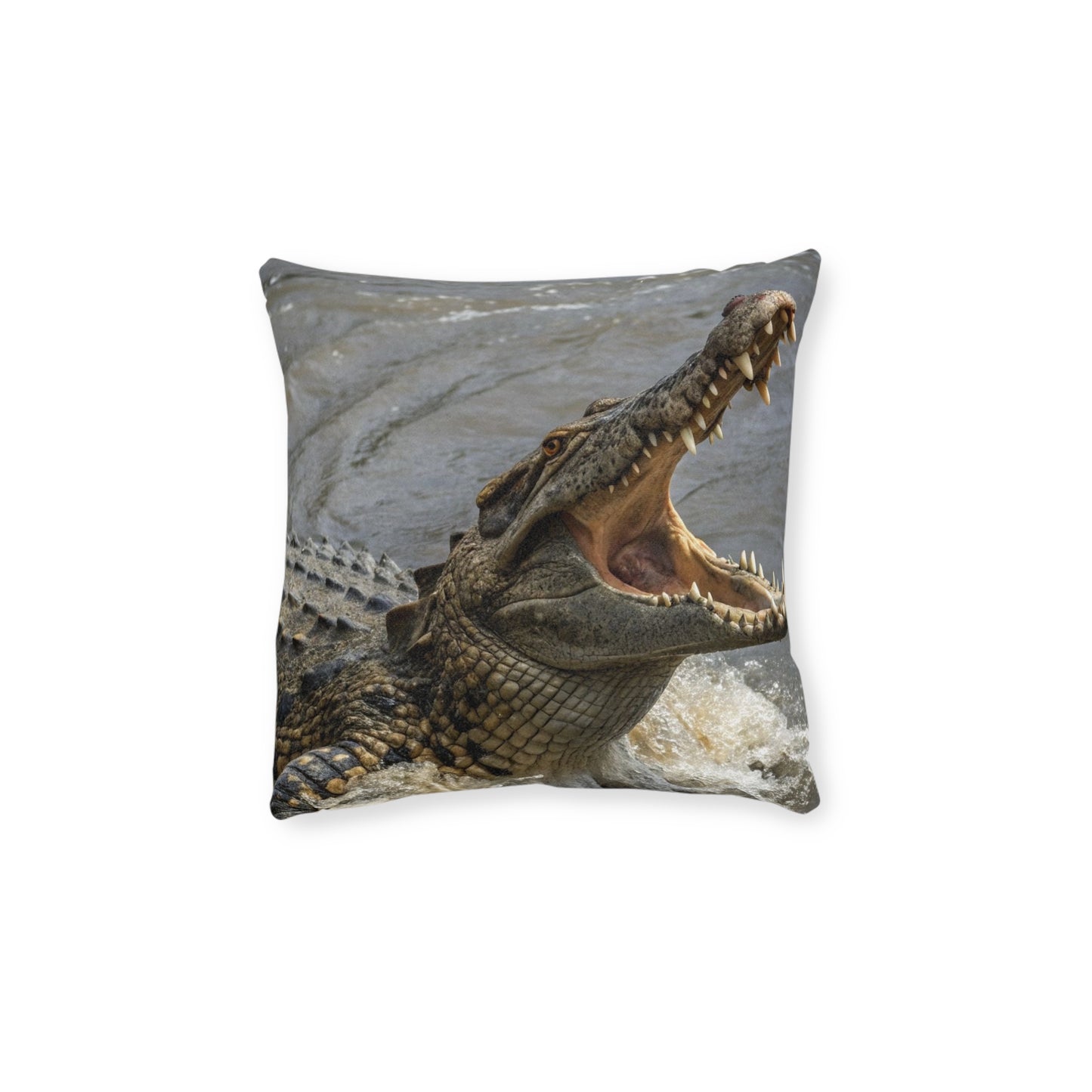 Crocodile