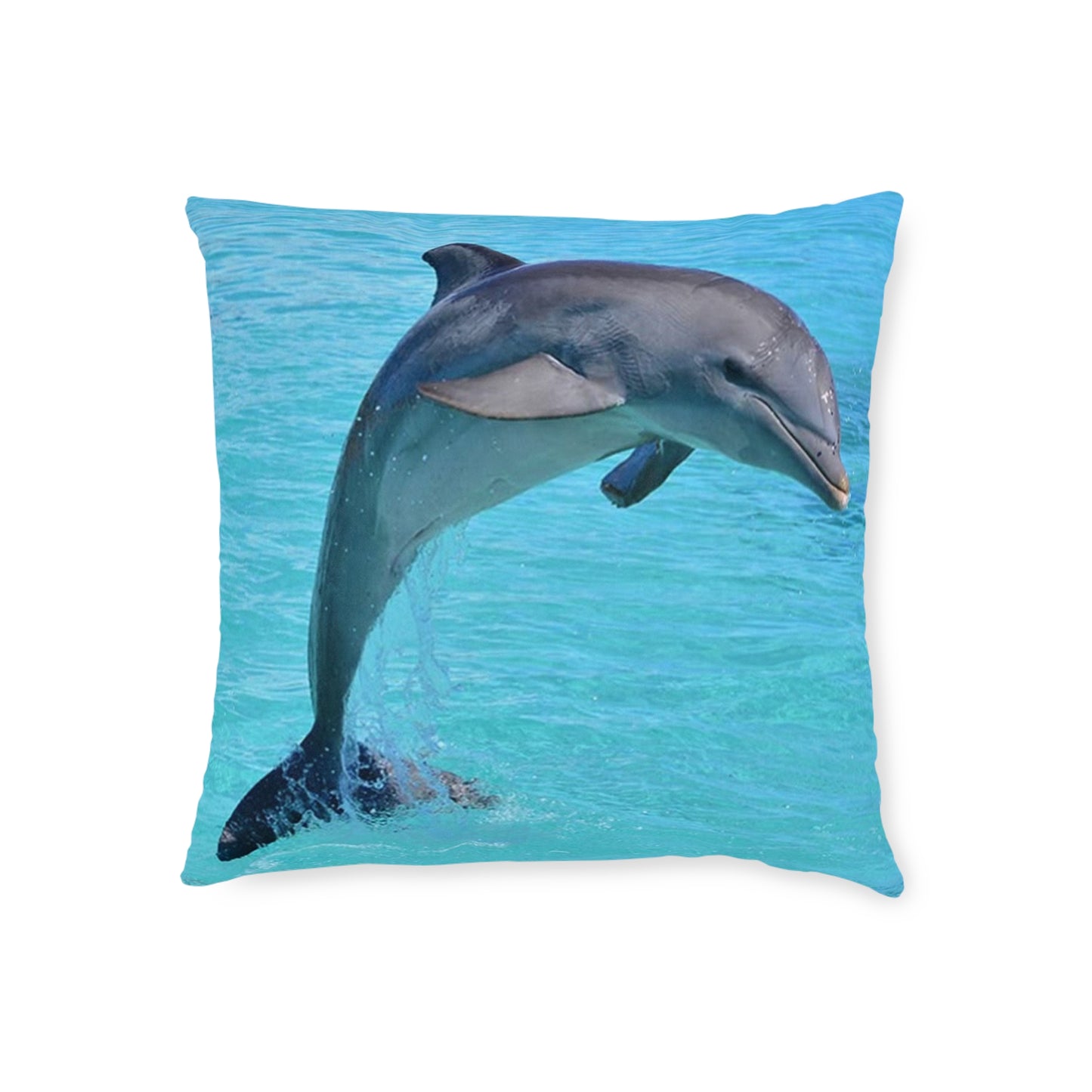Dolphin