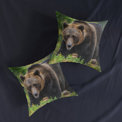 Brown Bear
