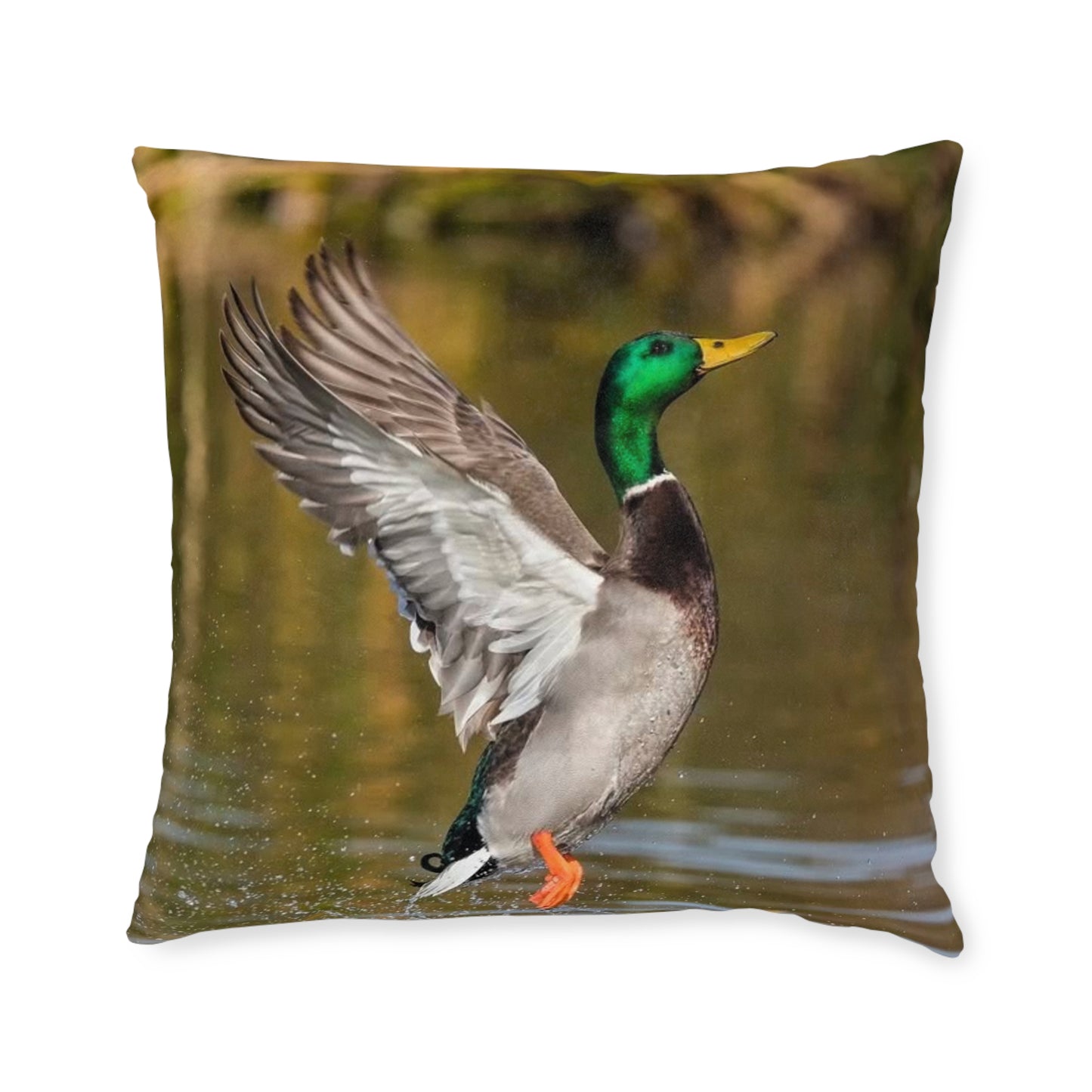 Duck