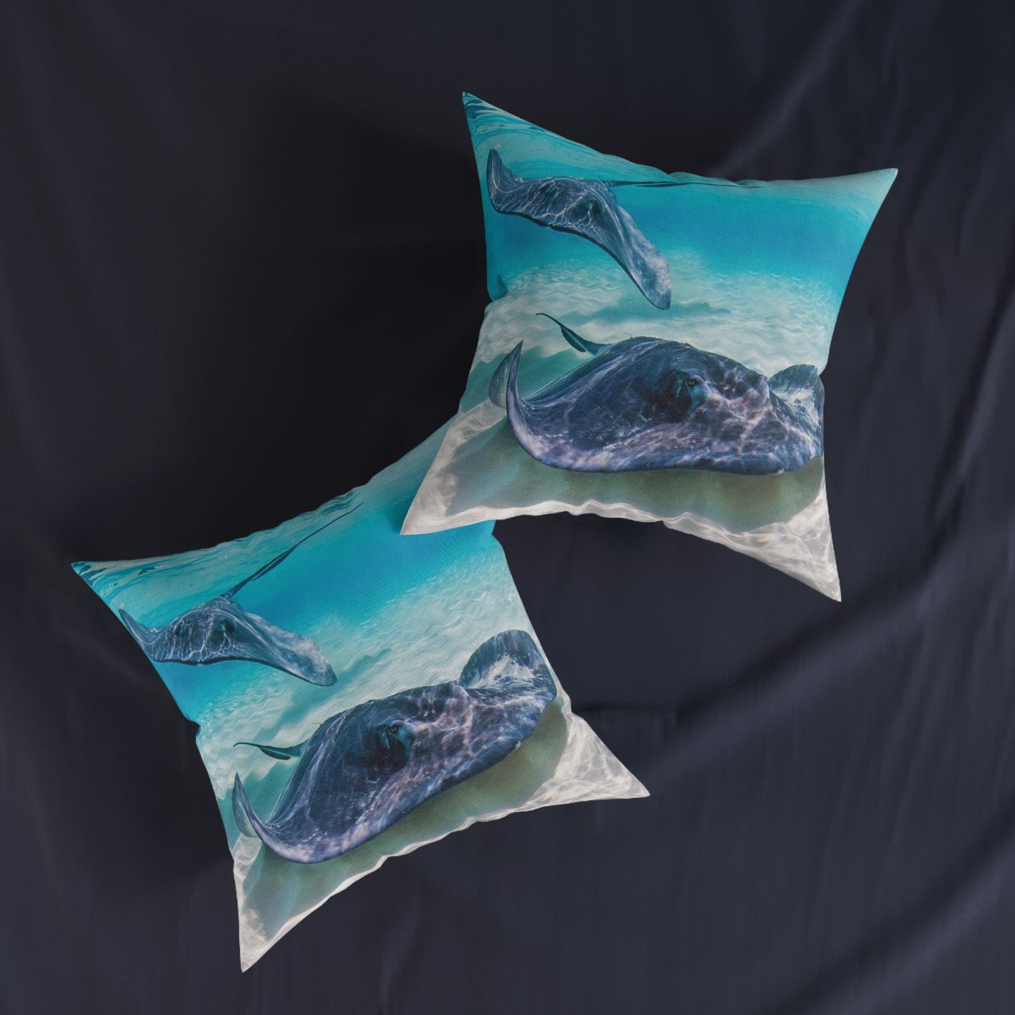 Stingray