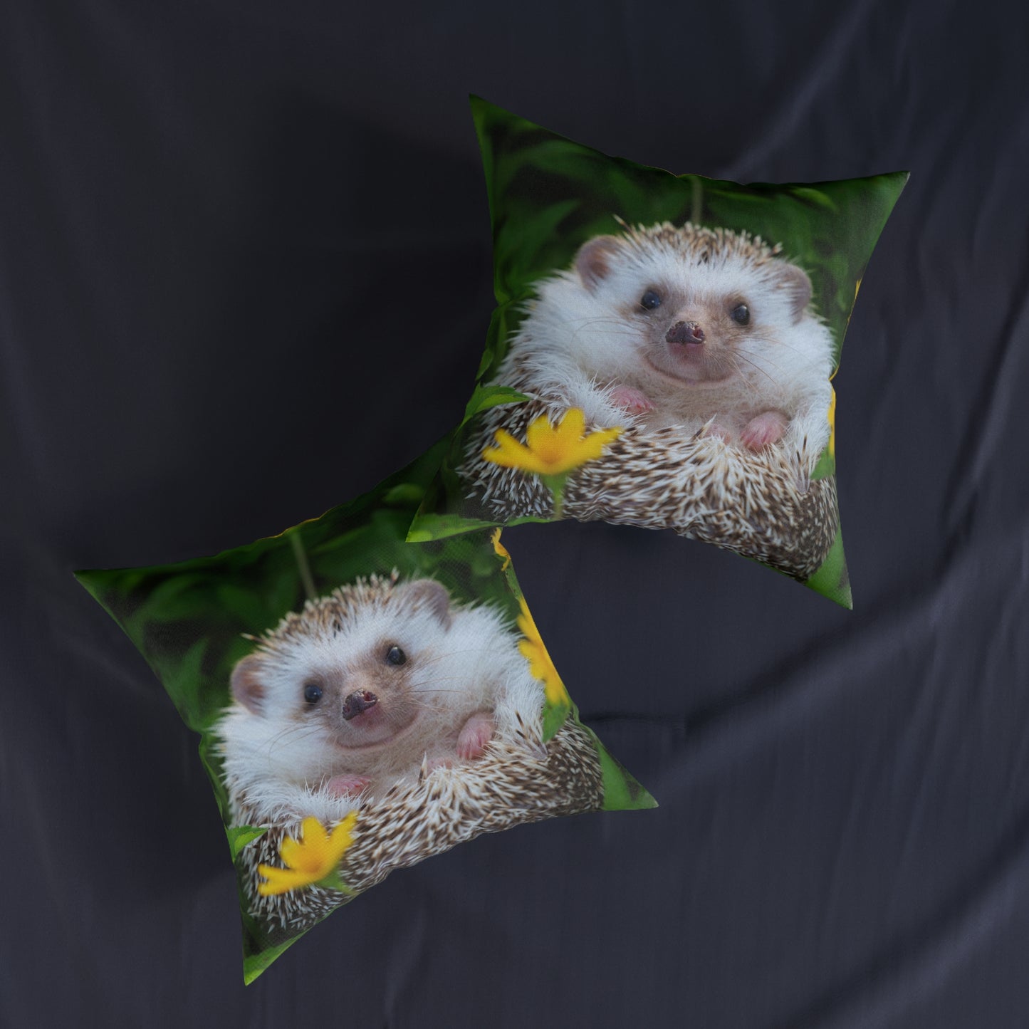 Hedgehog