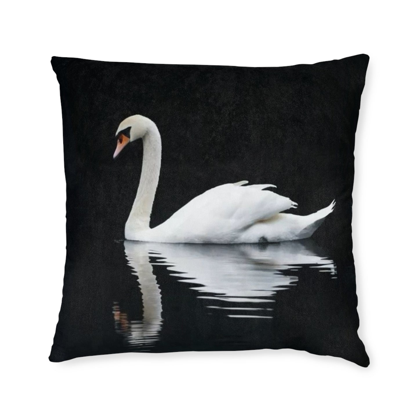 Swan