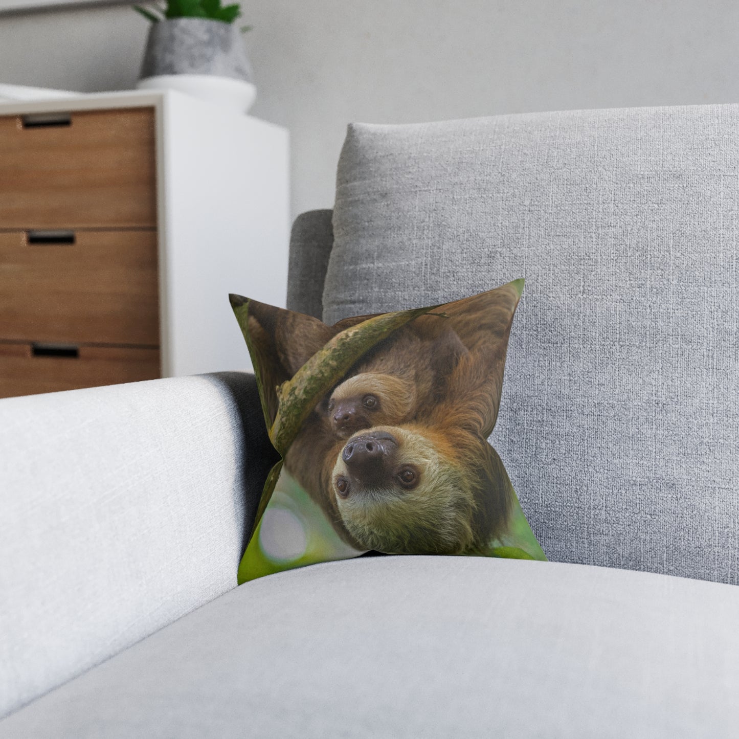 Sloth