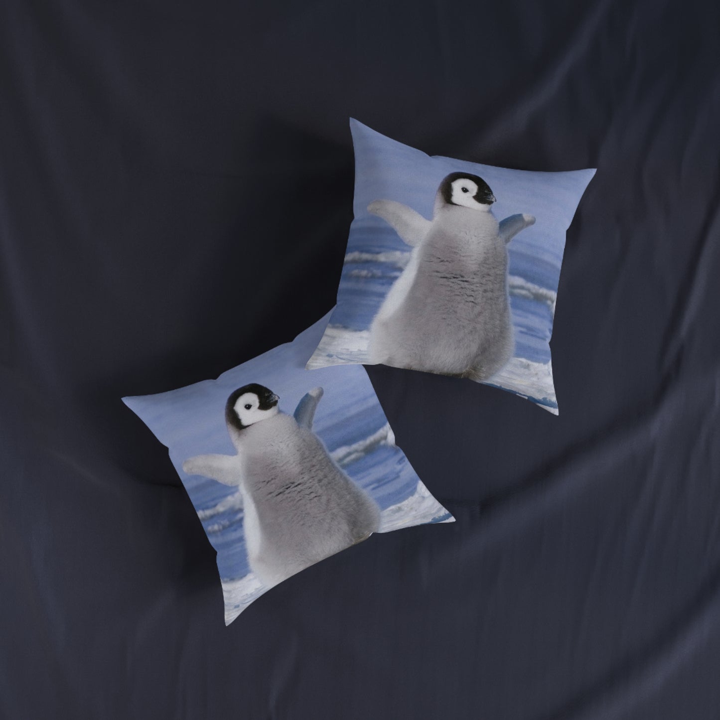Baby Penguin