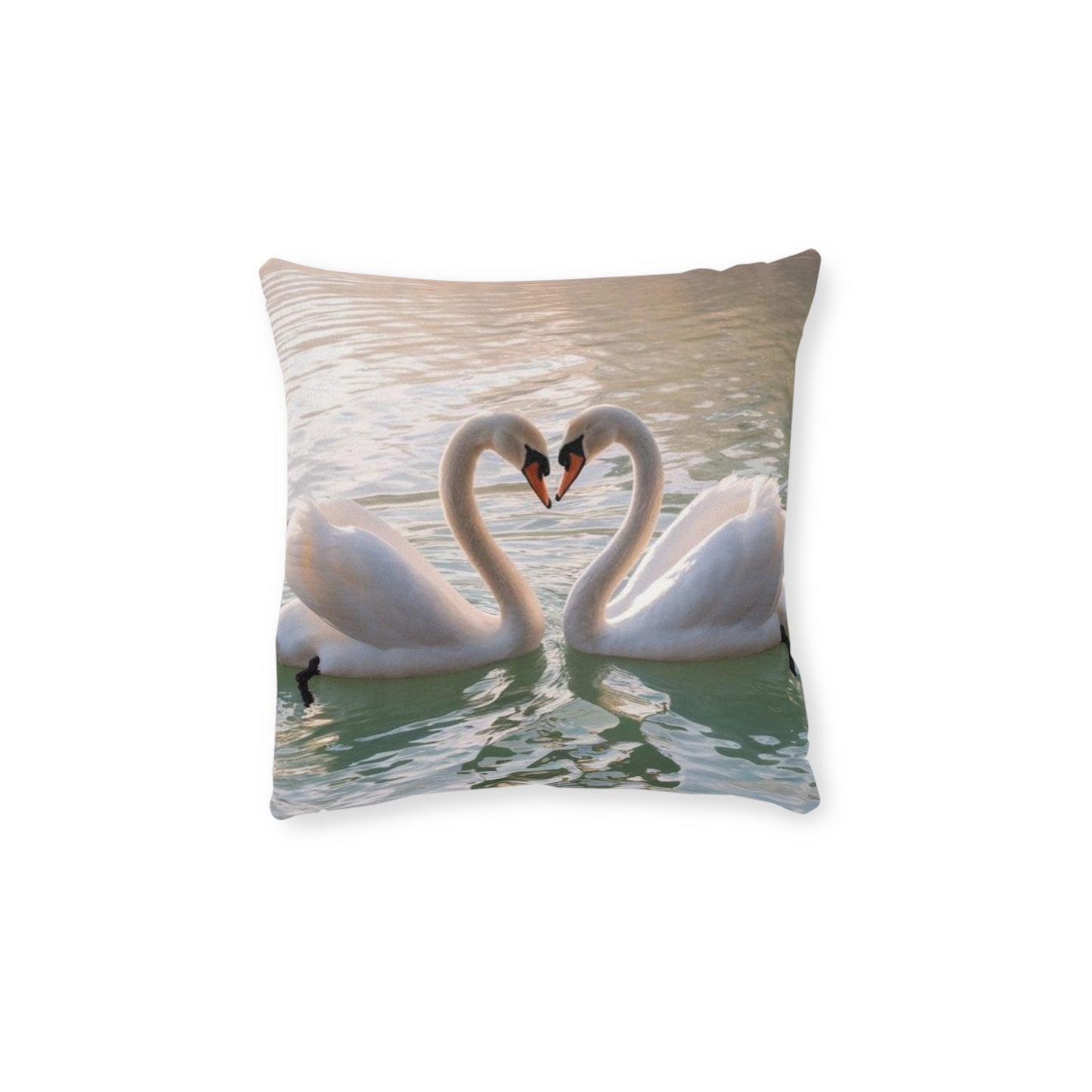 Swan 2