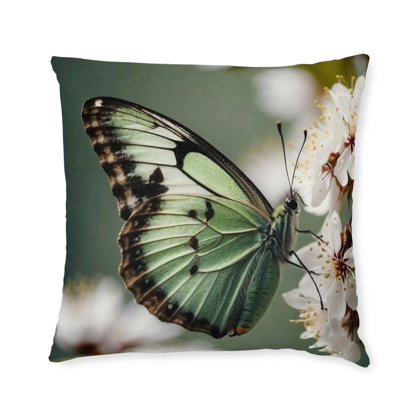 Butterfly Green