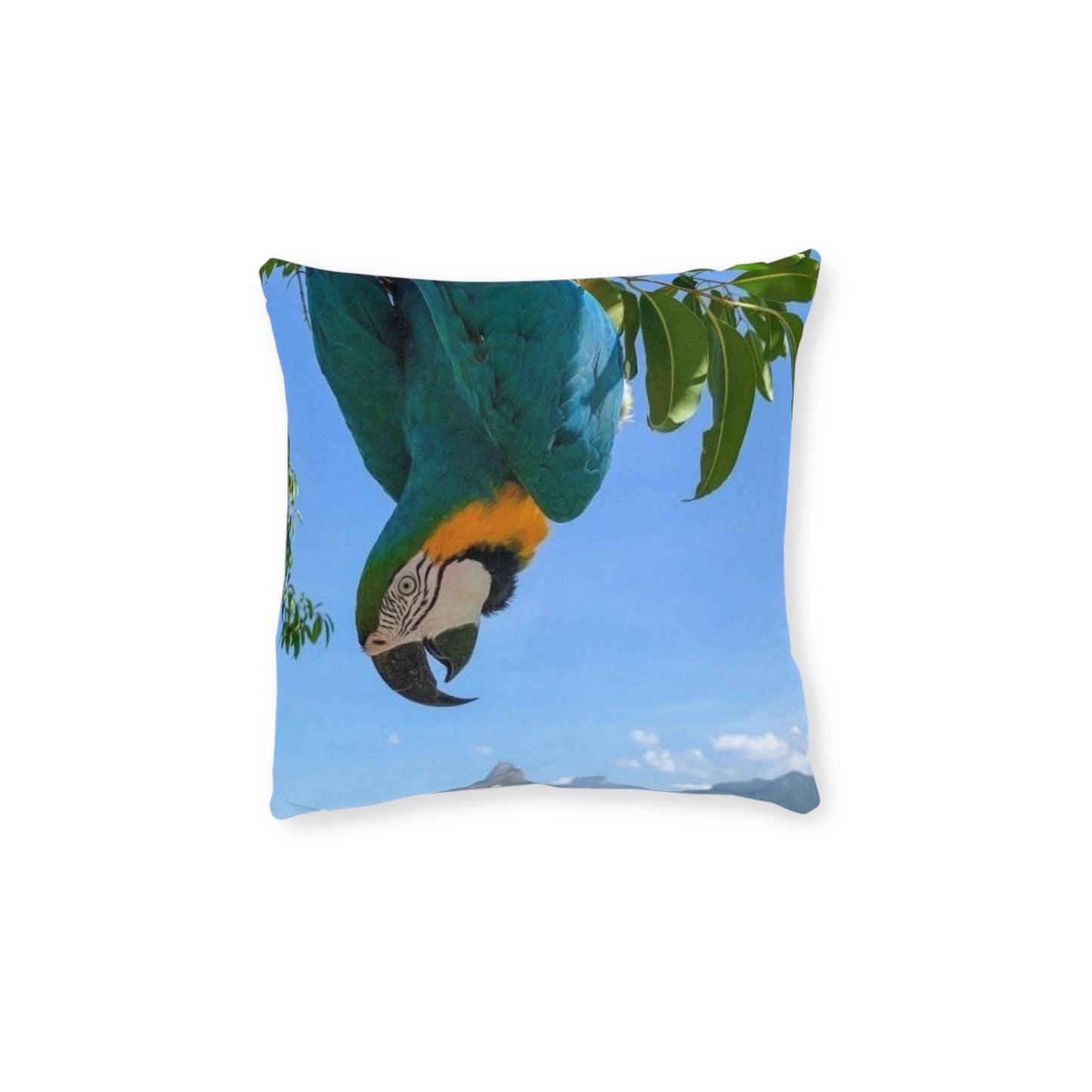 Parrot Blue