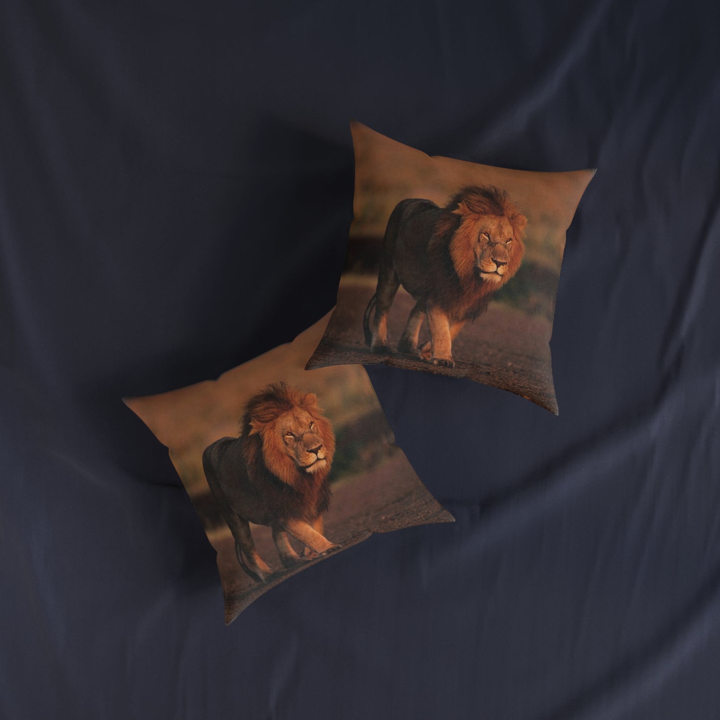 Lion Male