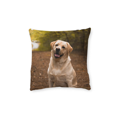 Labrador Retriever Dog