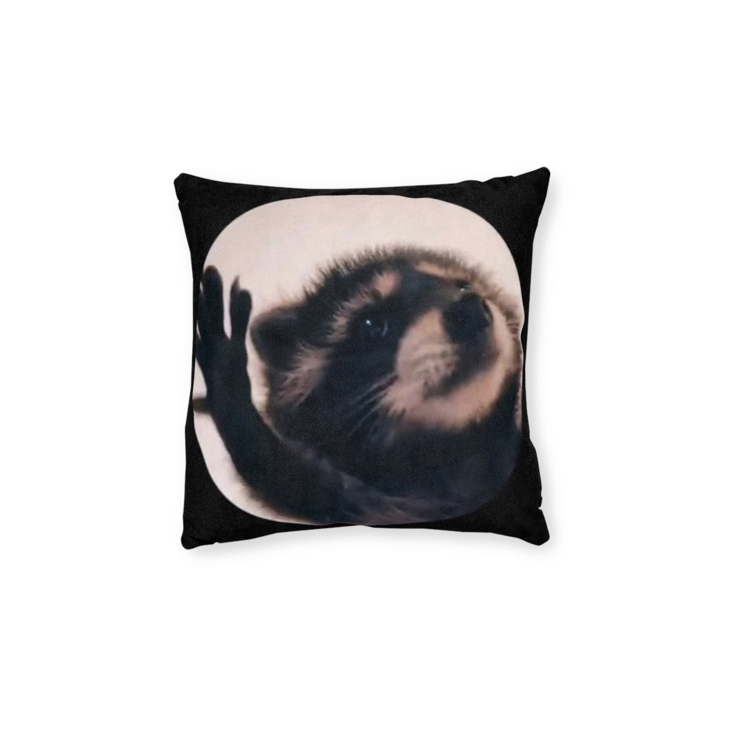 Pedro The Racoon