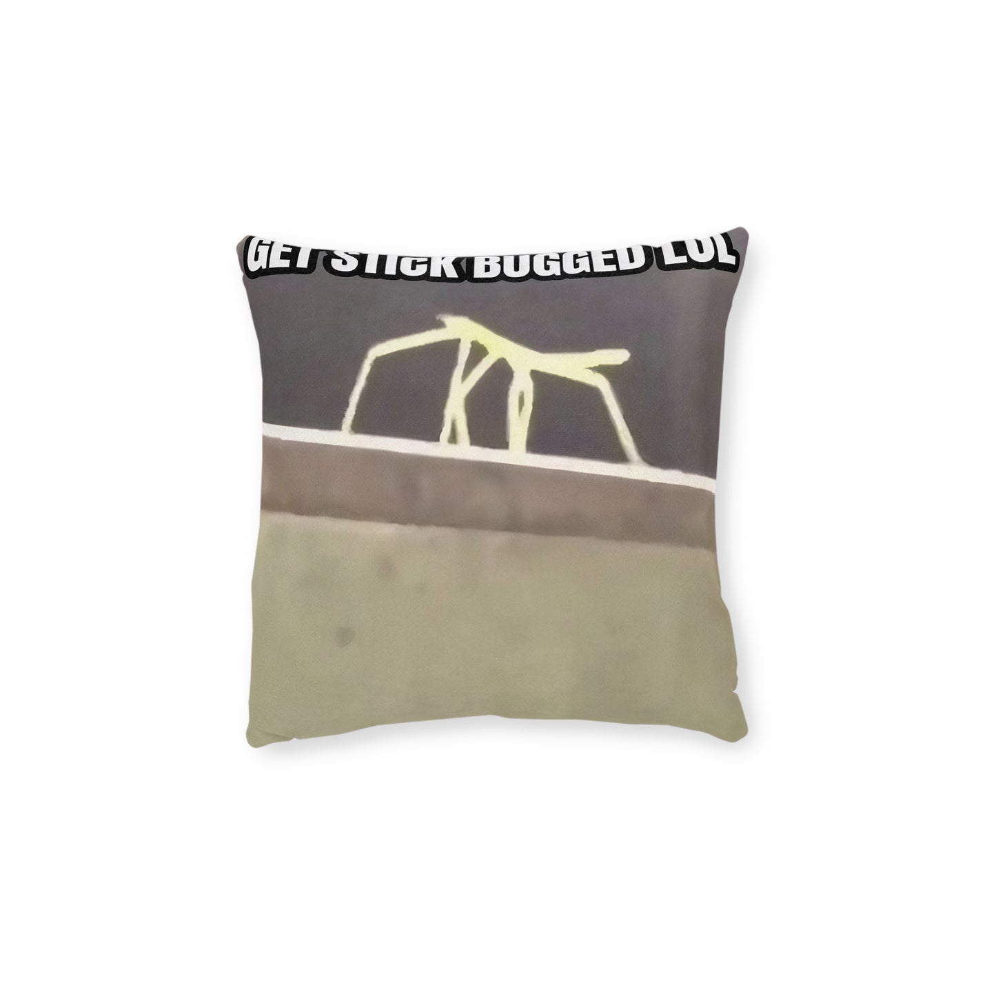 Stick Bug Meme