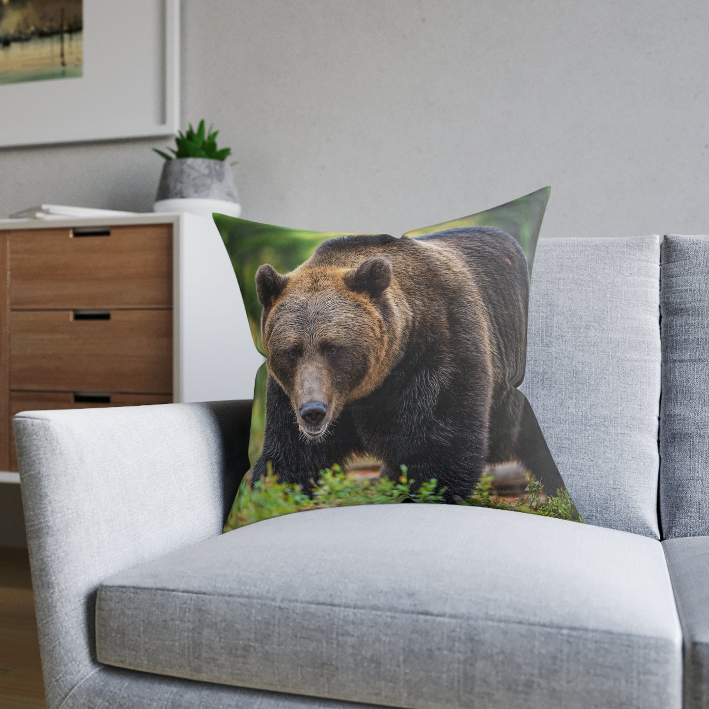 Brown Bear