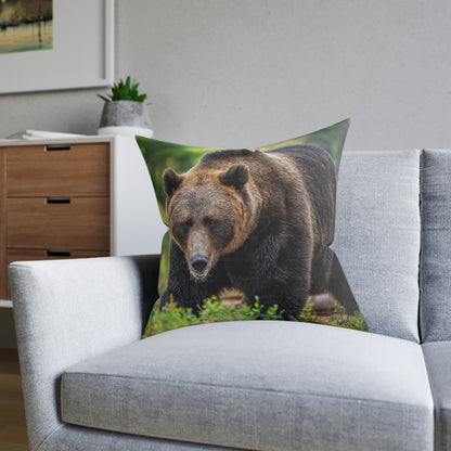 Brown Bear