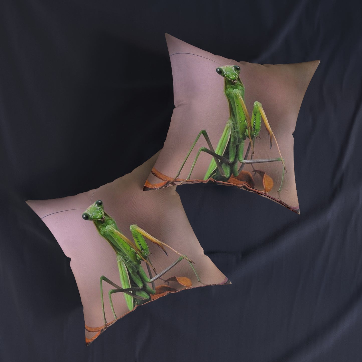 Praying Mantis