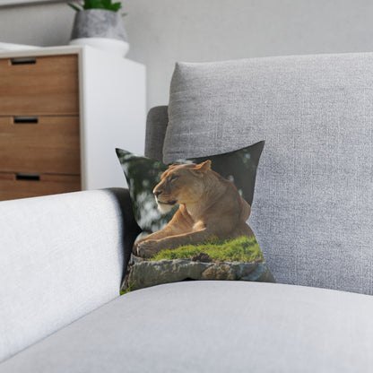 Lion Female