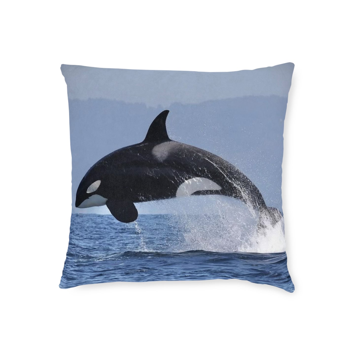 Orca 2
