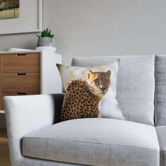 Cheetah