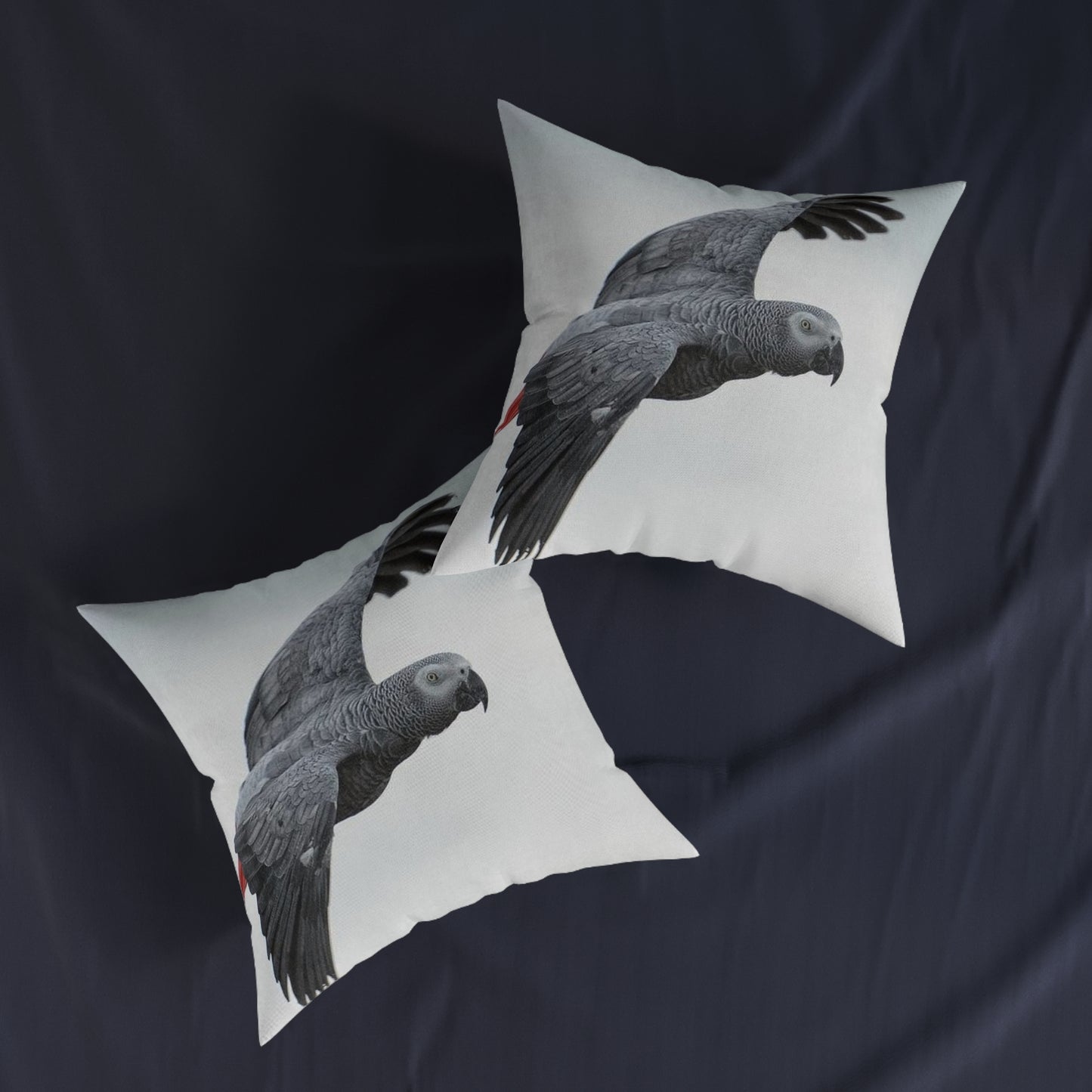 Parrot African Grey