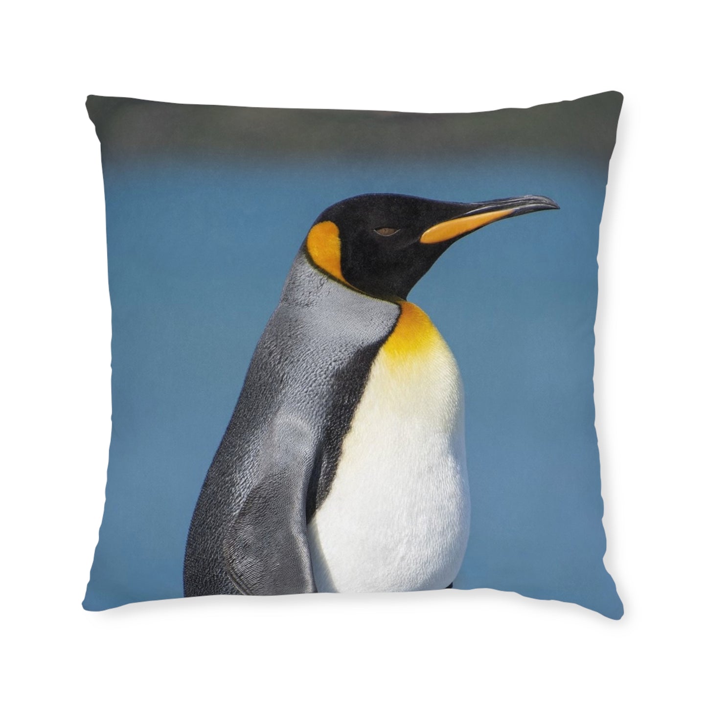 King Penguin