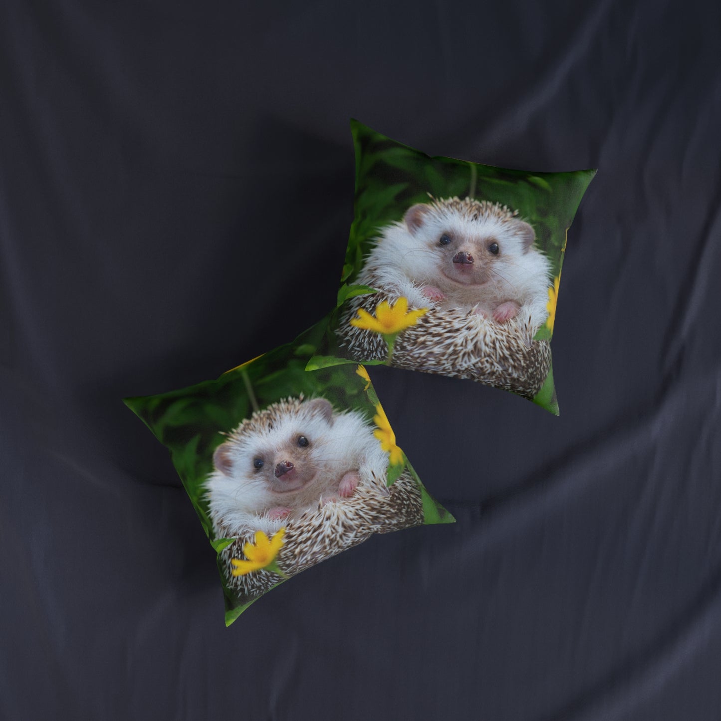 Hedgehog