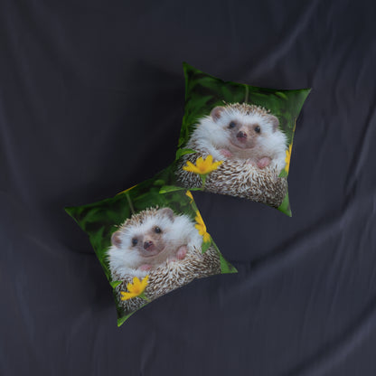 Hedgehog