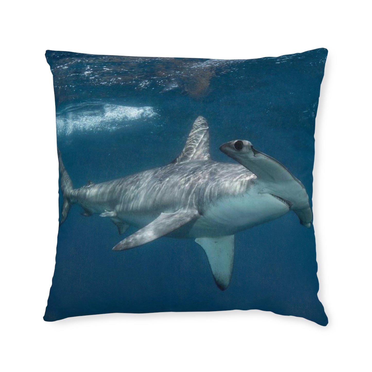 Hammerhead Shark