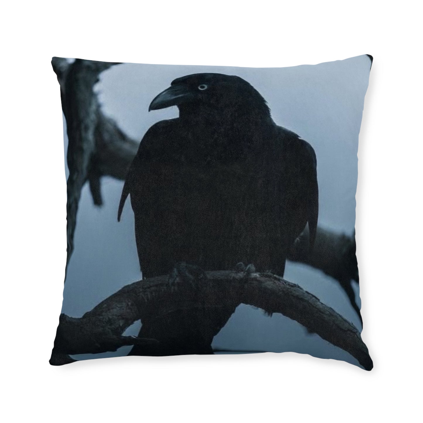 Raven 2