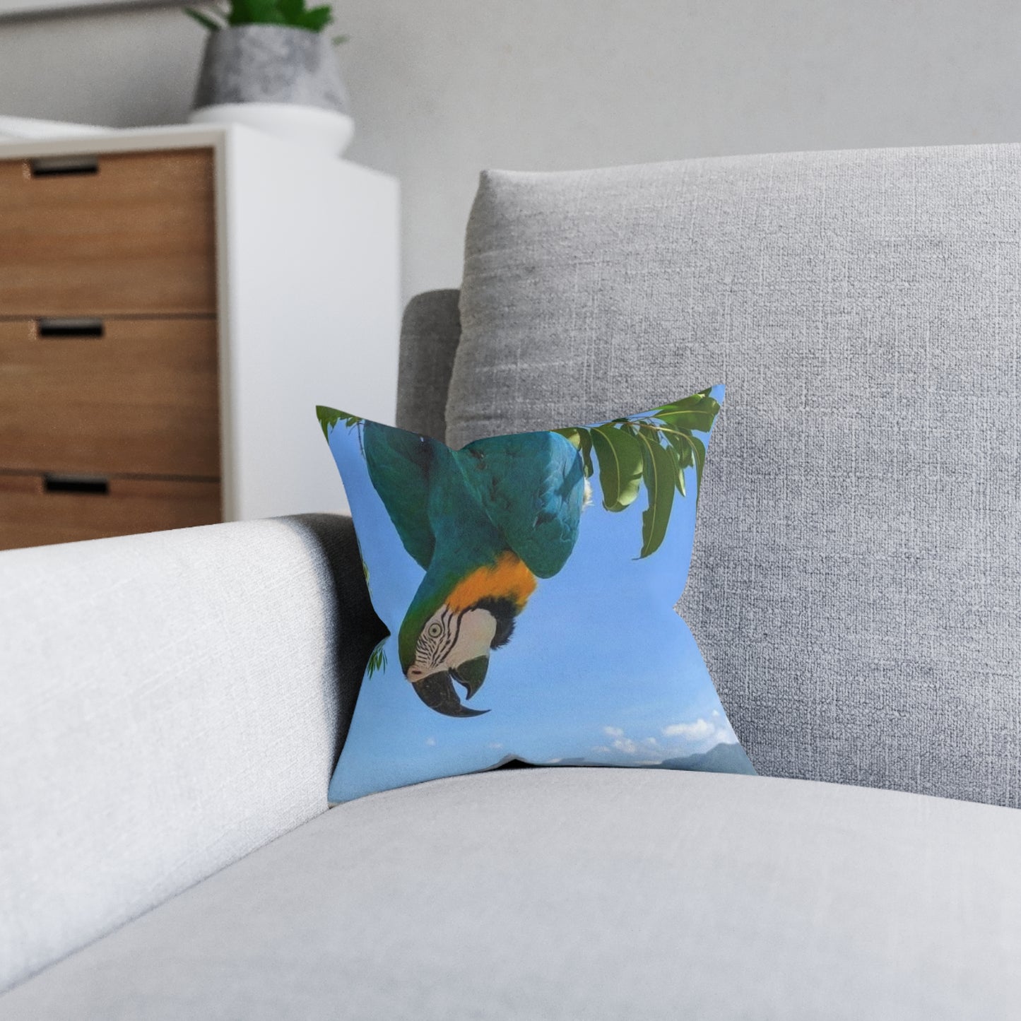 Parrot Blue