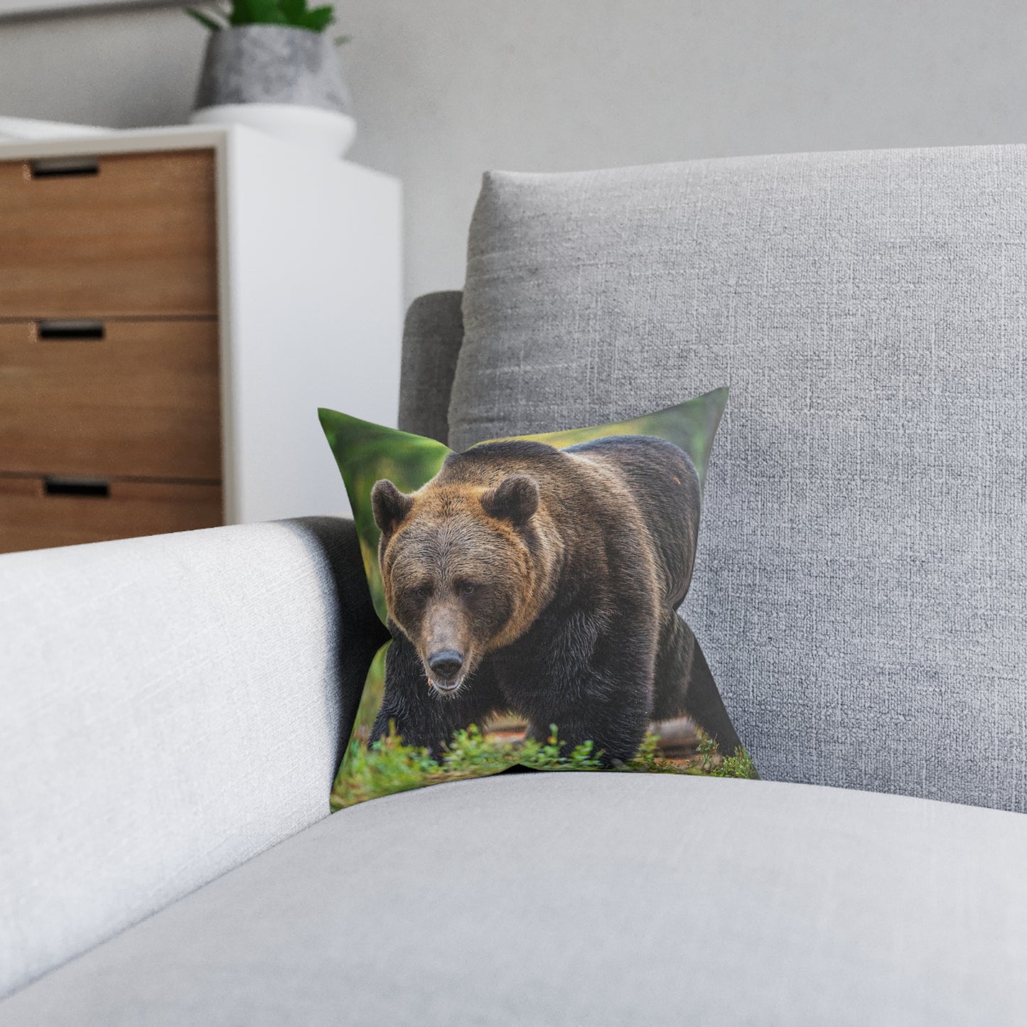 Brown Bear