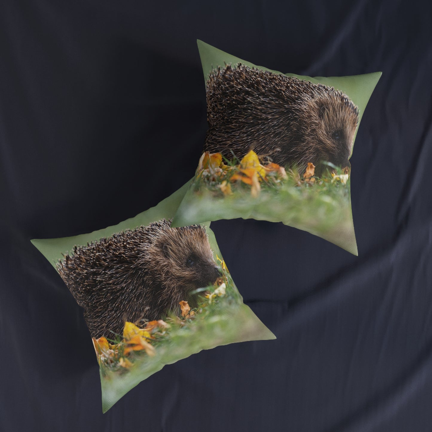 Hedgehog 2