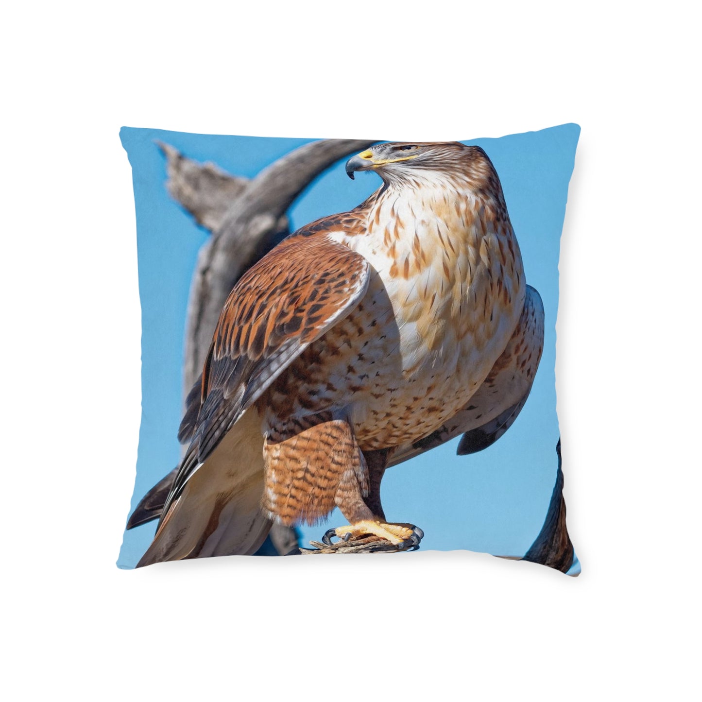 Hawk