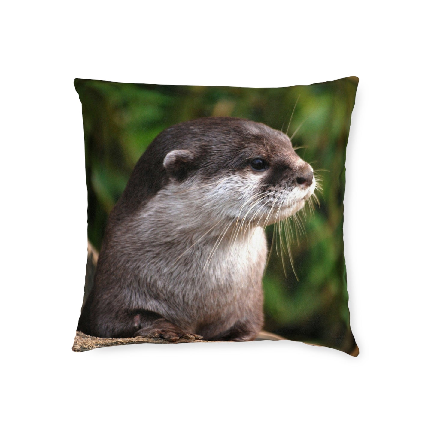 Otter