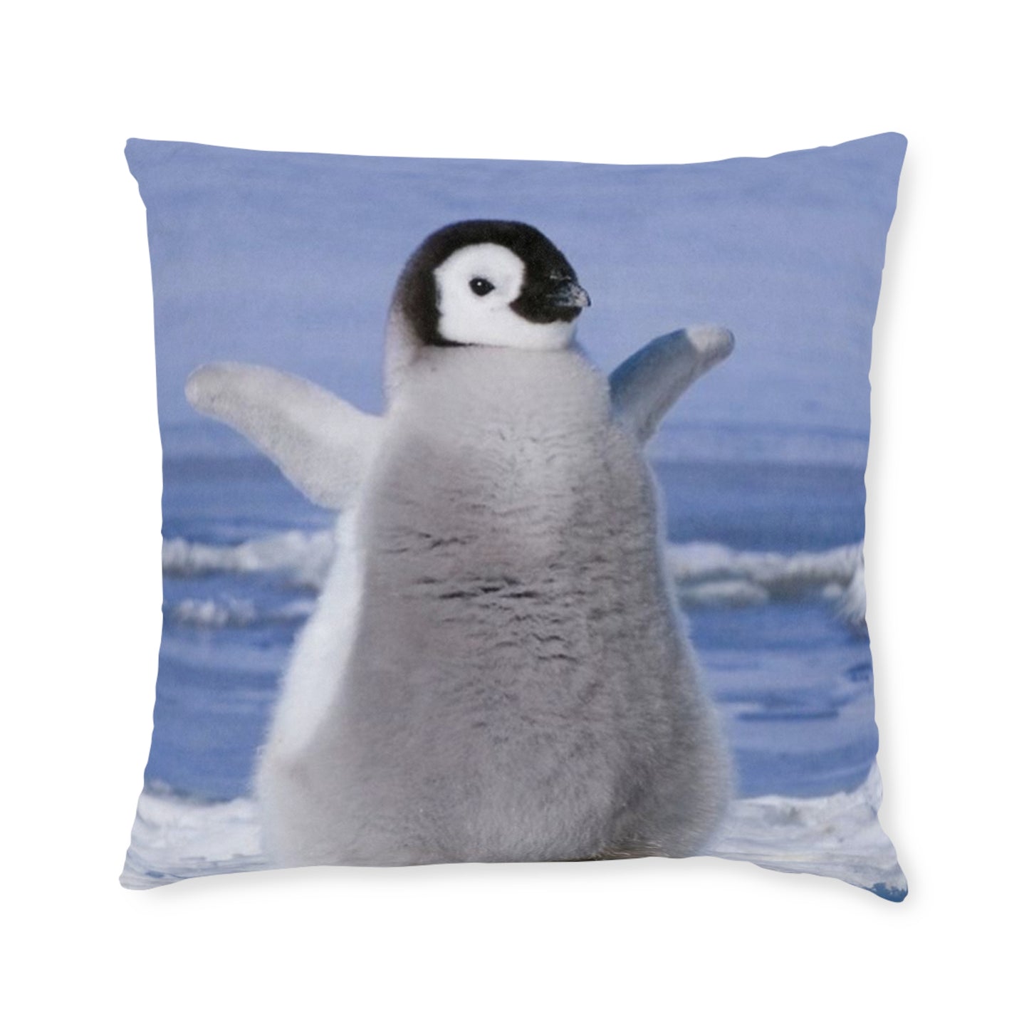Baby Penguin