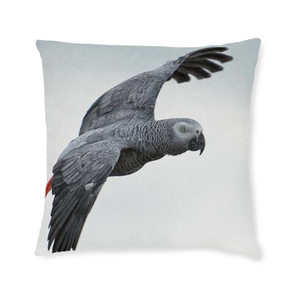 Parrot African Grey