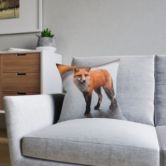 Fox