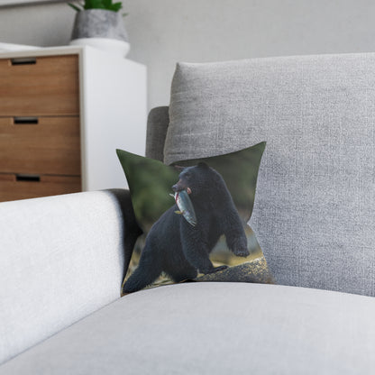 Black Bear